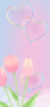 梦幻粉调爱心与郁金香