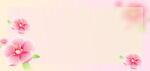 粉色花朵背景图