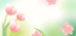 粉色花卉清新背景图