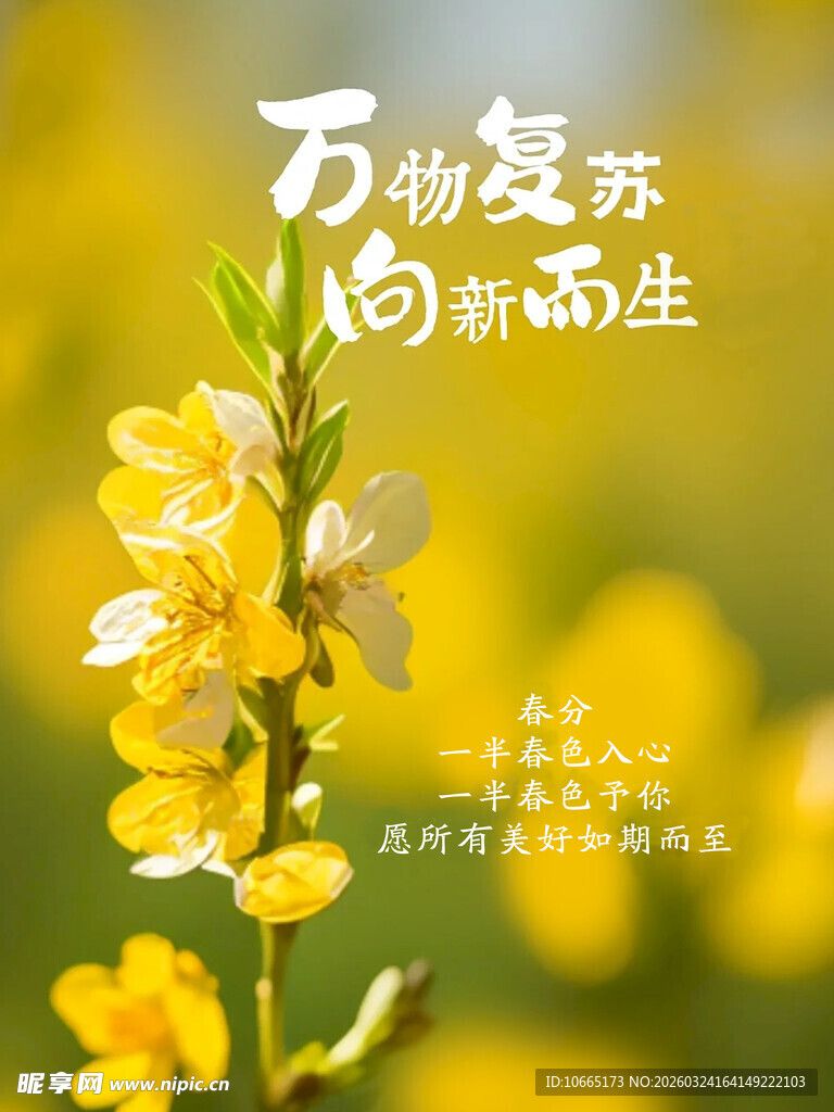 万物复苏   合层图   