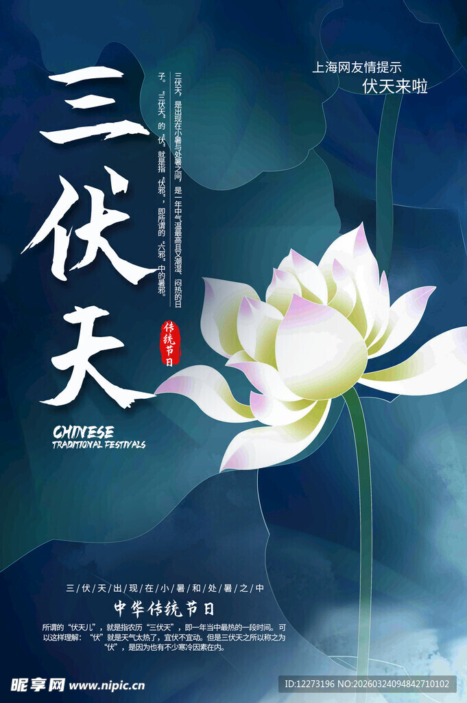 三伏天荷花主题海报