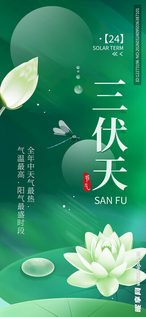 清新三伏天荷花主题插画