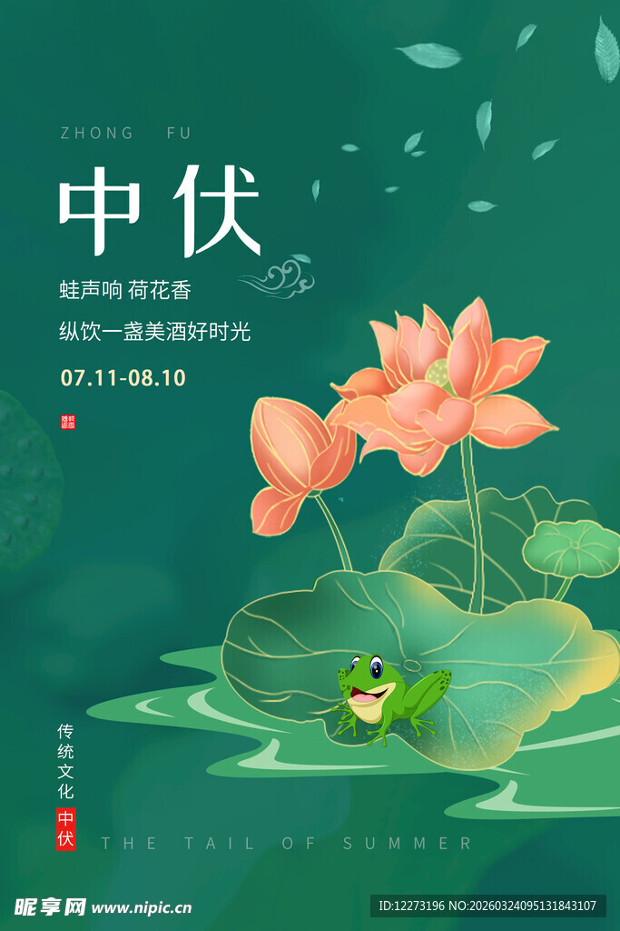 中伏时节荷花绽放美景