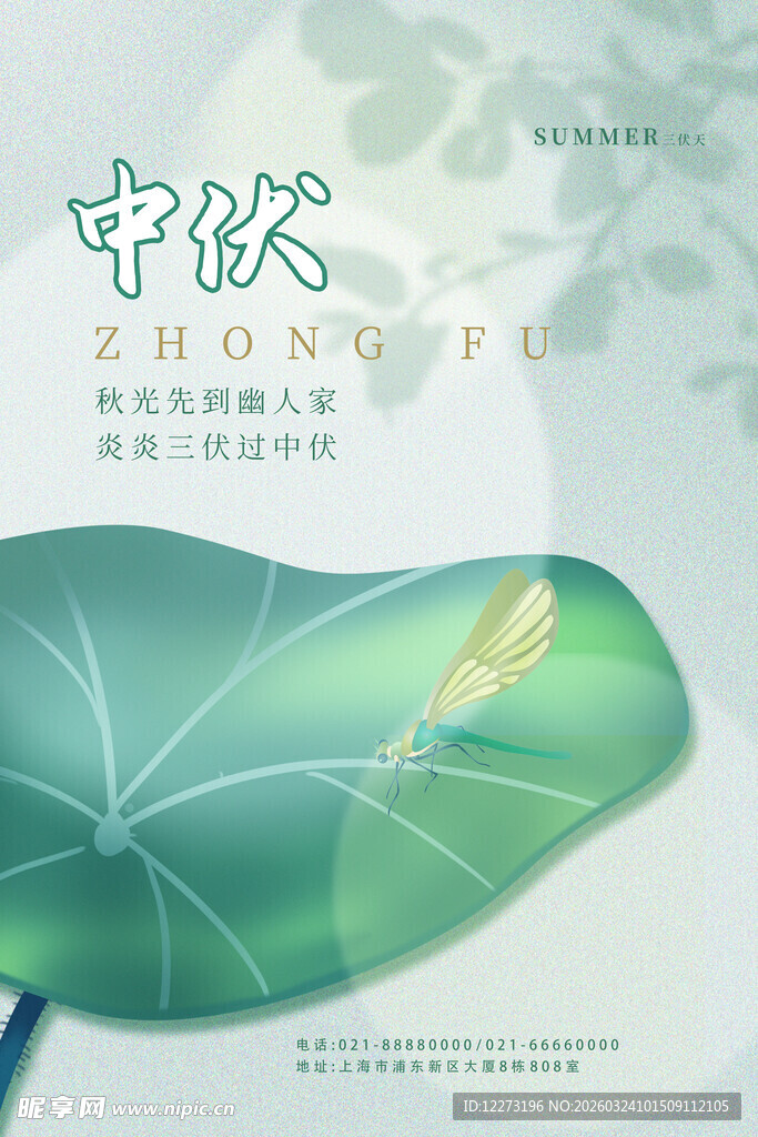 中伏时节荷叶上的小景致