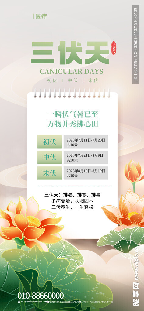 三伏天养生信息界面展示