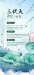 三伏天养生宣传页