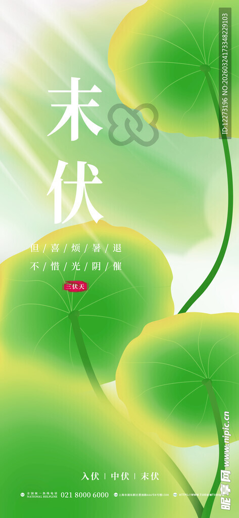 清新夏日荷叶主题插画