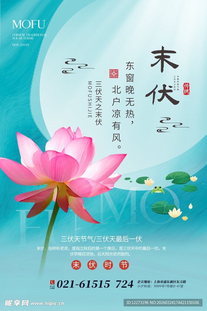 末伏时节绽放的娇艳荷花