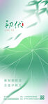清新荷叶中式风海报设计