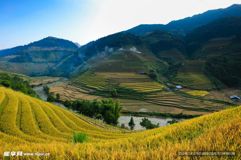 金色梯田山谷美景