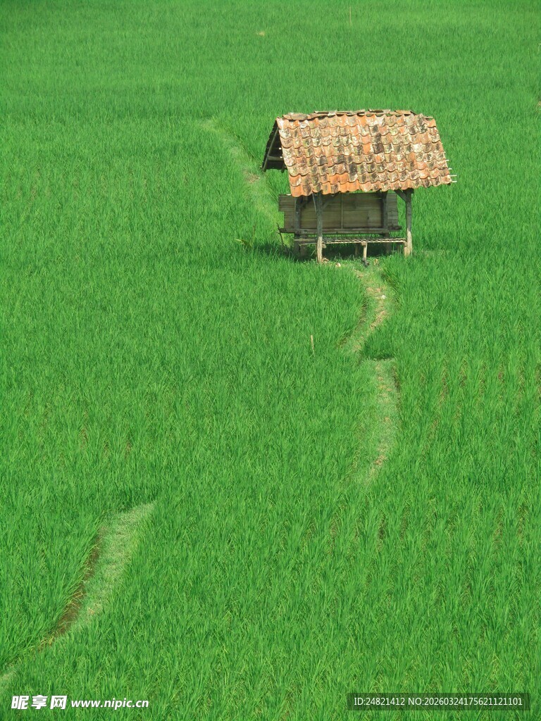 绿野中的古朴小屋