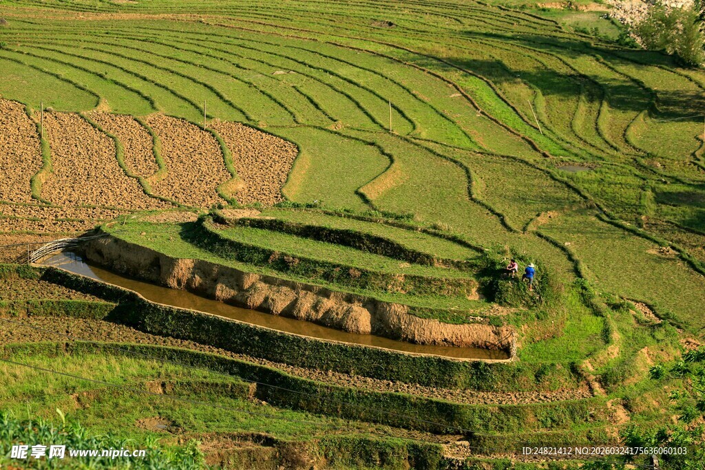 层层叠叠的美丽绿色梯田