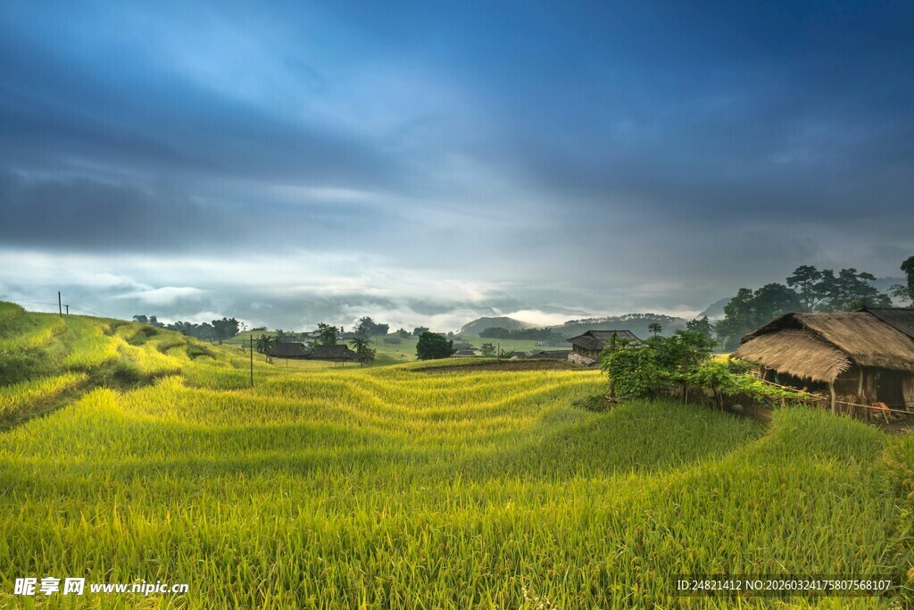 田园风光中的静谧小屋