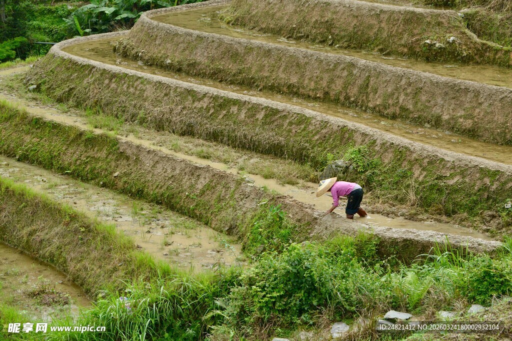 梯田劳作景象