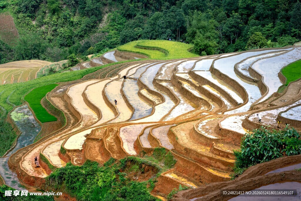 壮观美丽的梯田景观