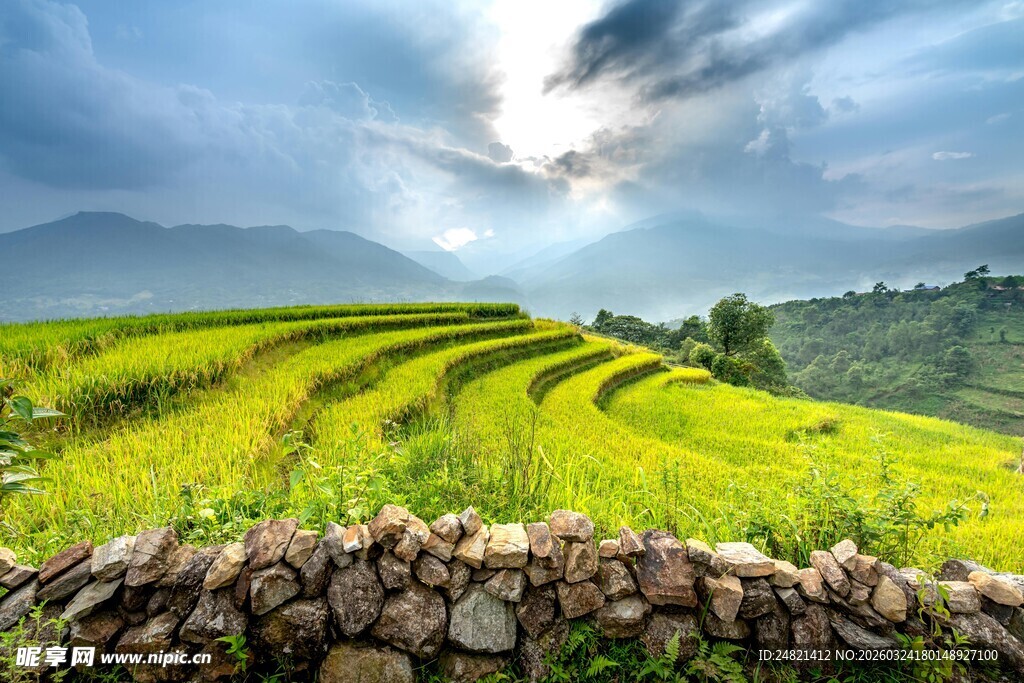 梯田美景