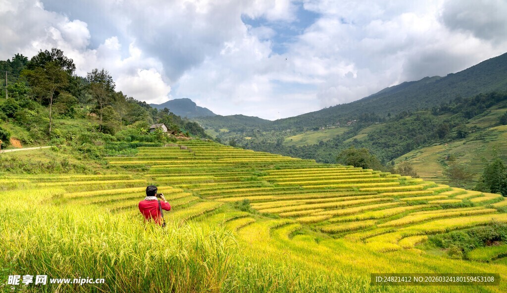稻田中漫步的红衣身影