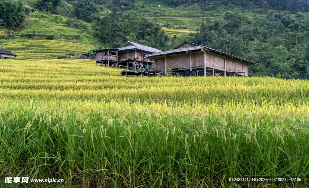 田园乡村风光中的农舍