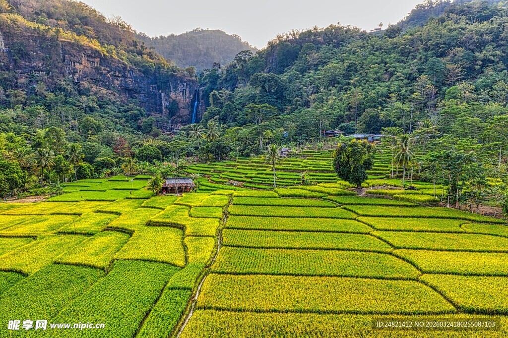 山间翠绿梯田美景
