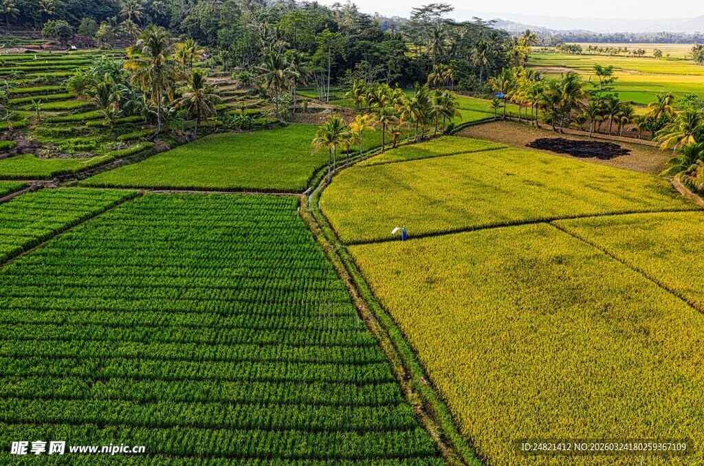 航拍美丽梯田田园风光