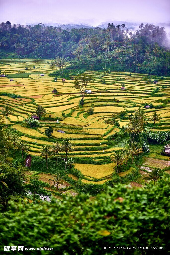 美丽壮观的层层梯田景观