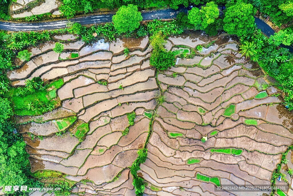俯瞰层层叠叠的美丽梯田