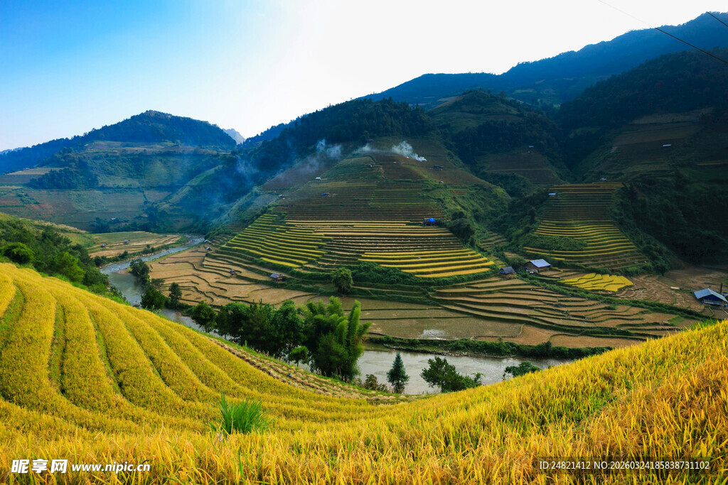 金色梯田山谷美丽风光