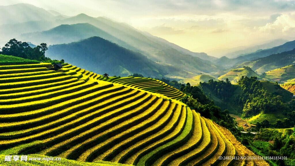壮丽梯田景观