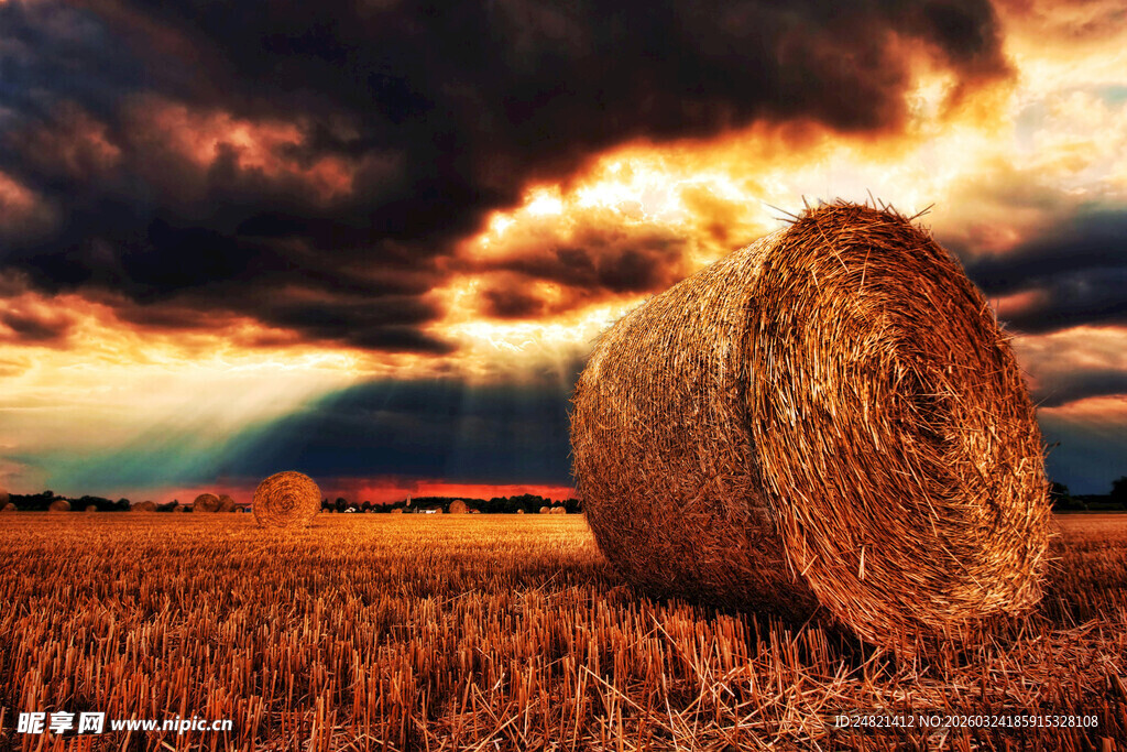 夕阳下的田野干草垛