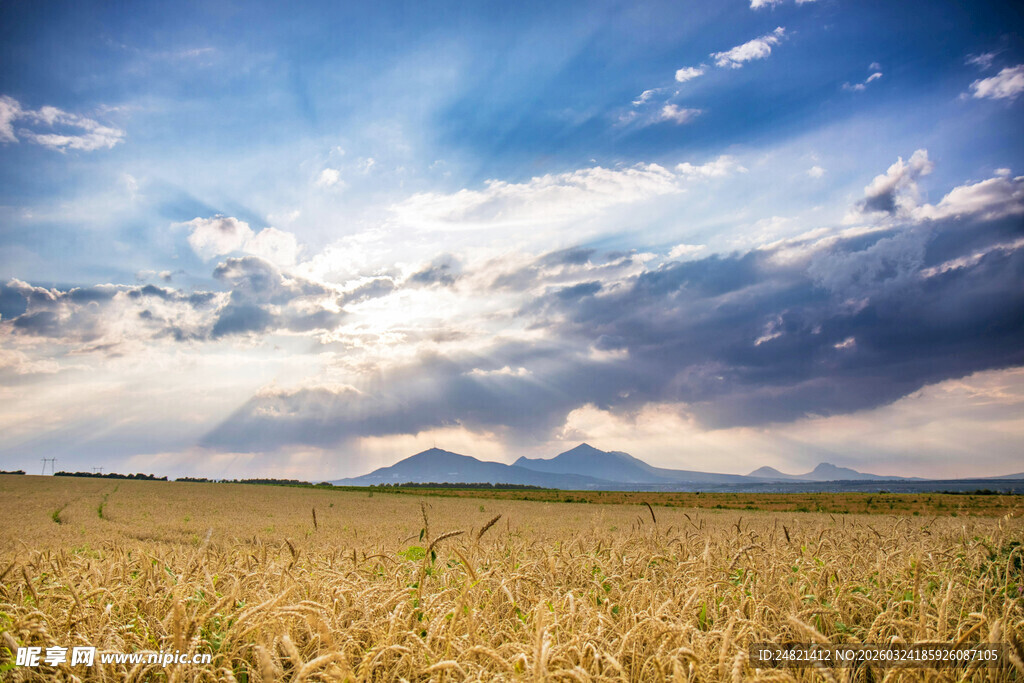 广袤田野与远处山峦风景