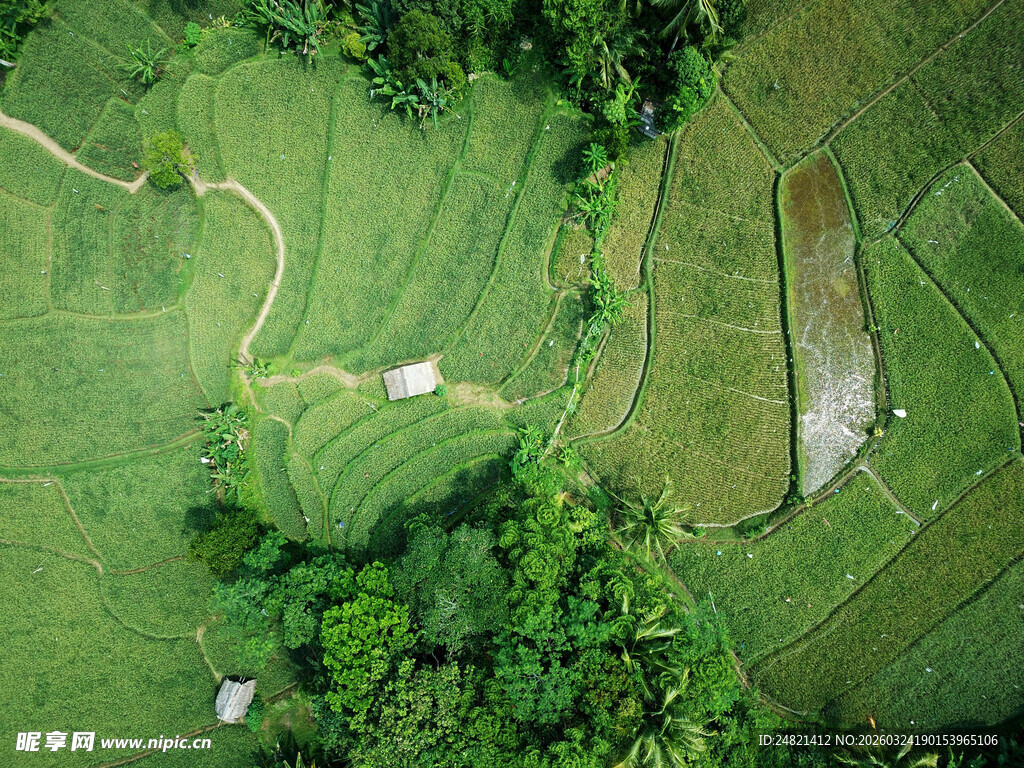 俯瞰翠绿田野与蜿蜒小径