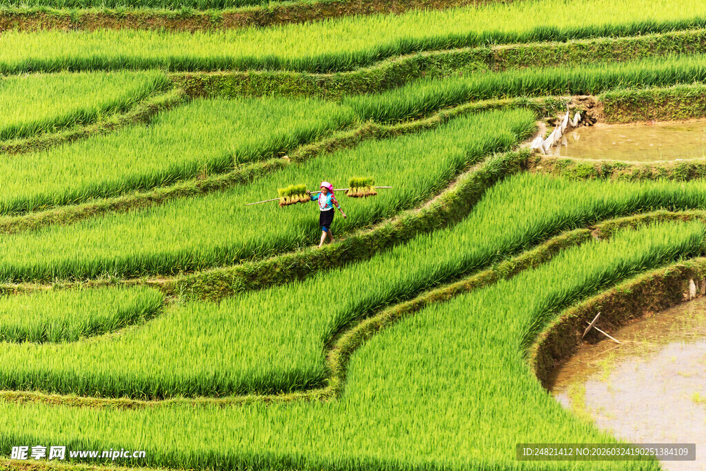 梯田农耕美景