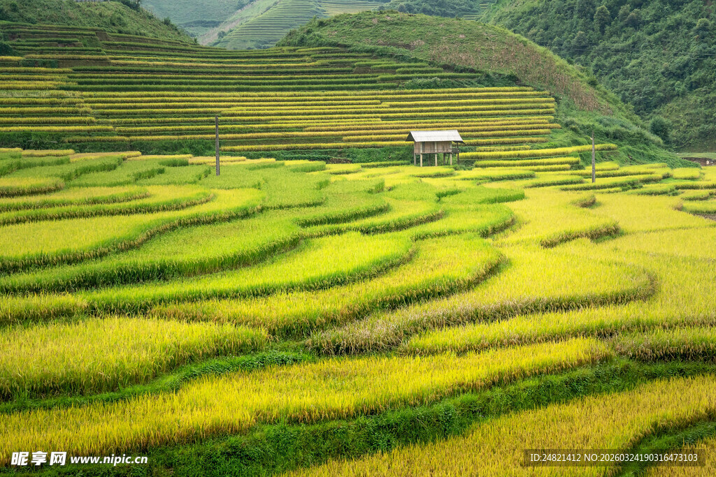 梯田美景