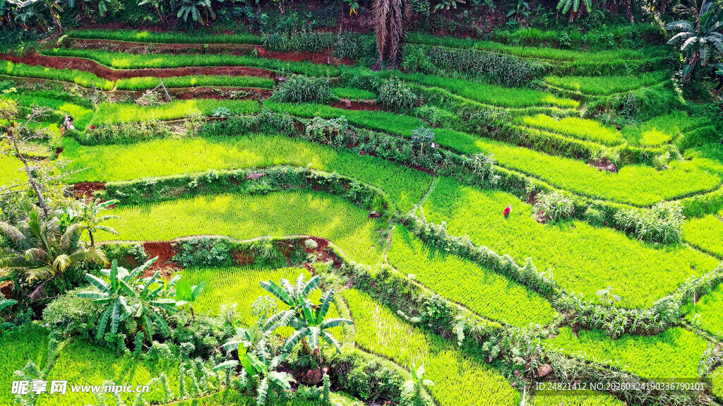 层层叠翠的美丽梯田