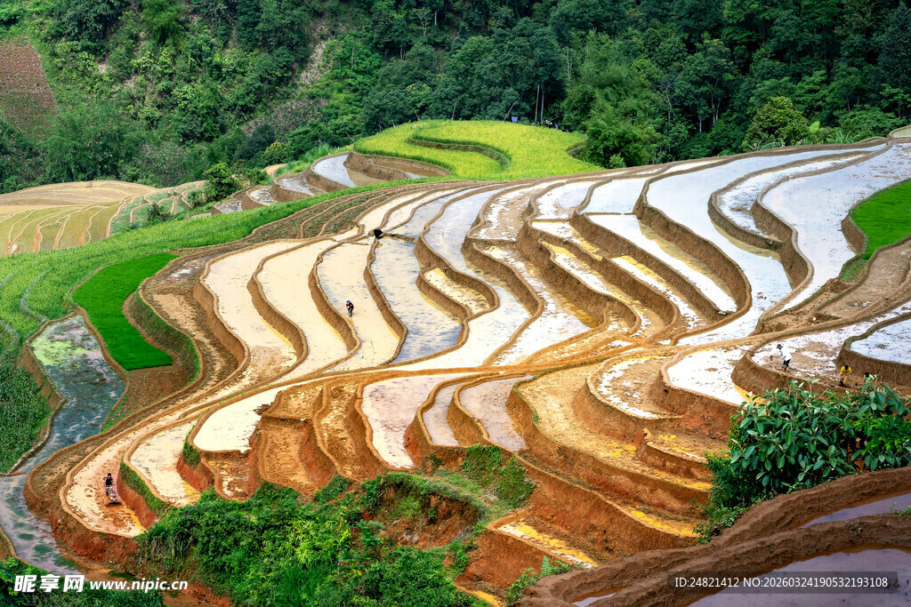 壮美梯田景观