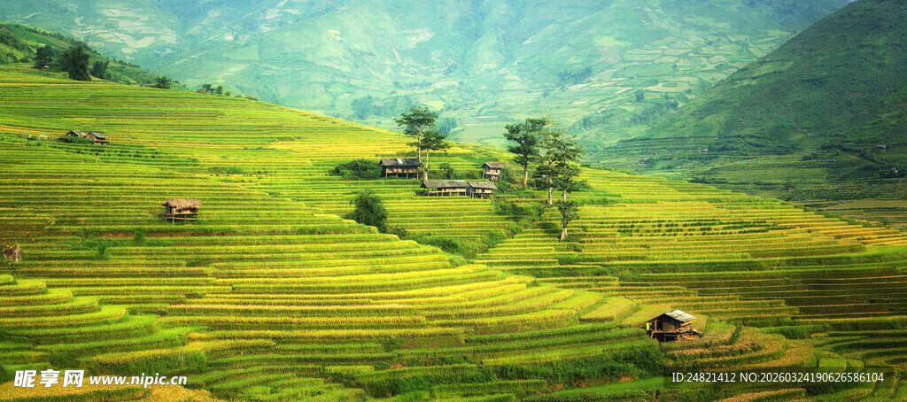 绿色山野间的田园风光