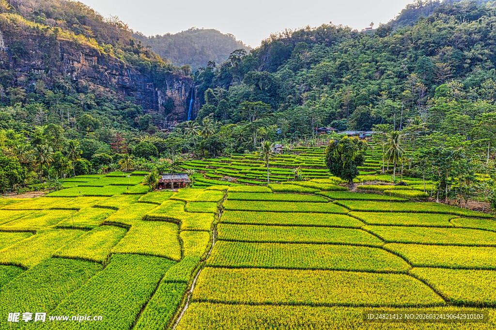 山间翠绿梯田美景