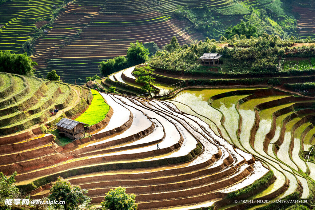 美丽壮观的层层梯田景观
