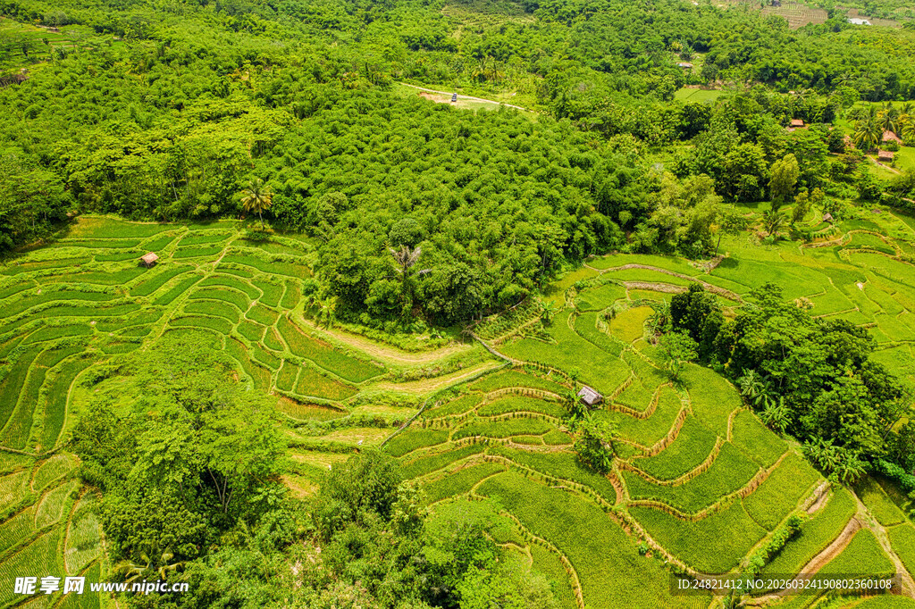 航拍翠绿梯田田园风光