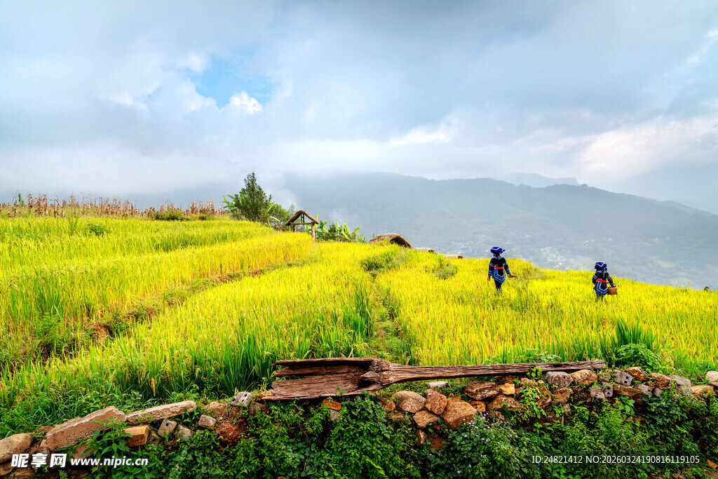 山间绿野中的徒步者