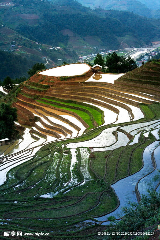 壮丽梯田景观