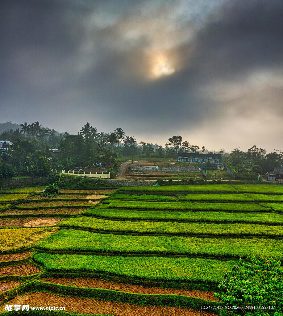 云雾下的翠绿梯田美景