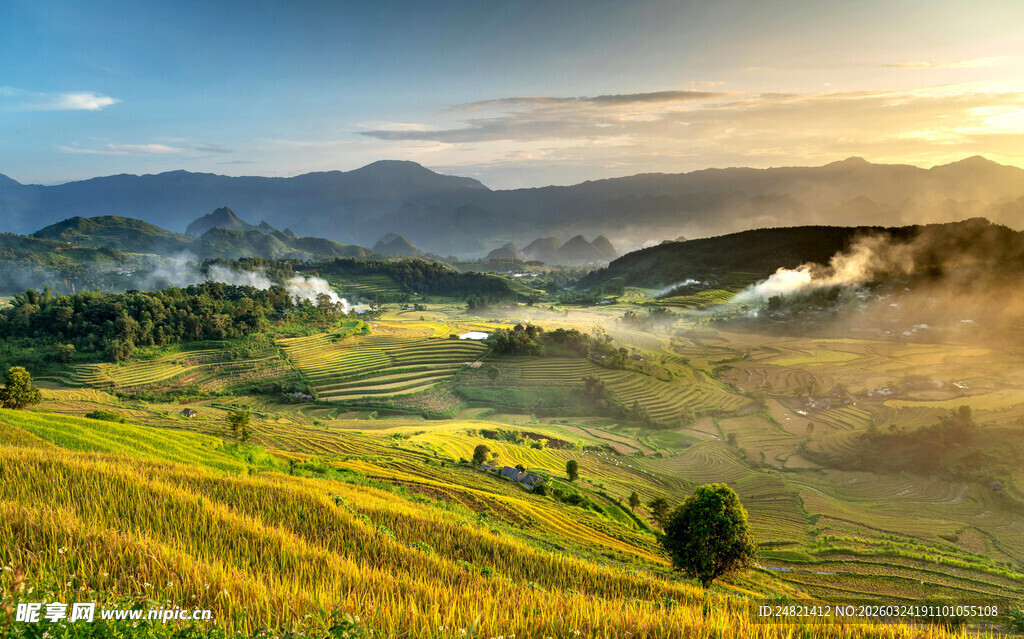 山间晨曦中的金黄田野