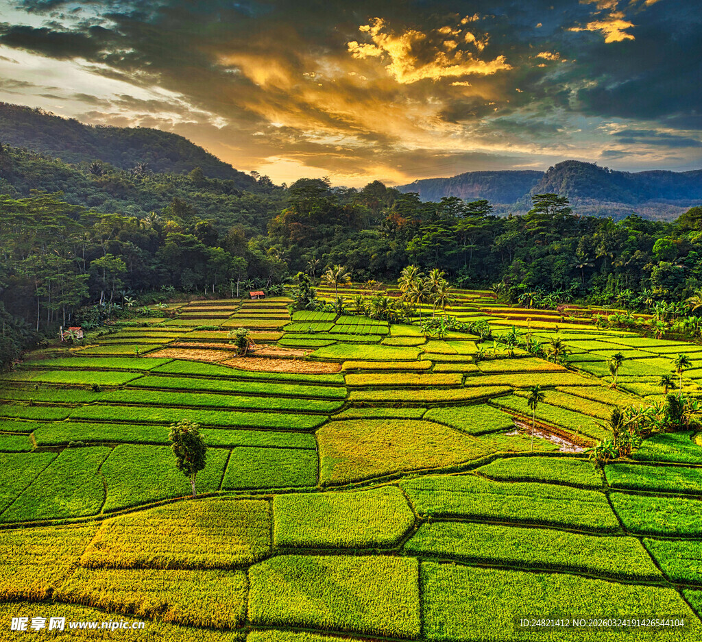 夕阳下的多彩梯田美景