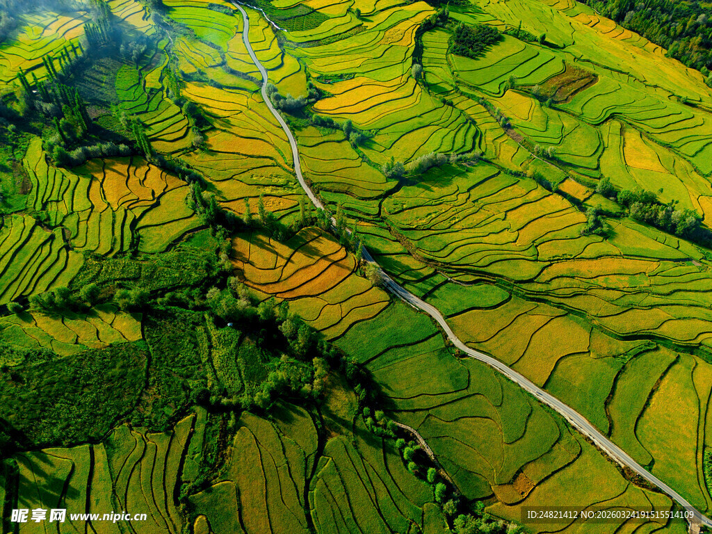 俯瞰壮丽梯田田园风光