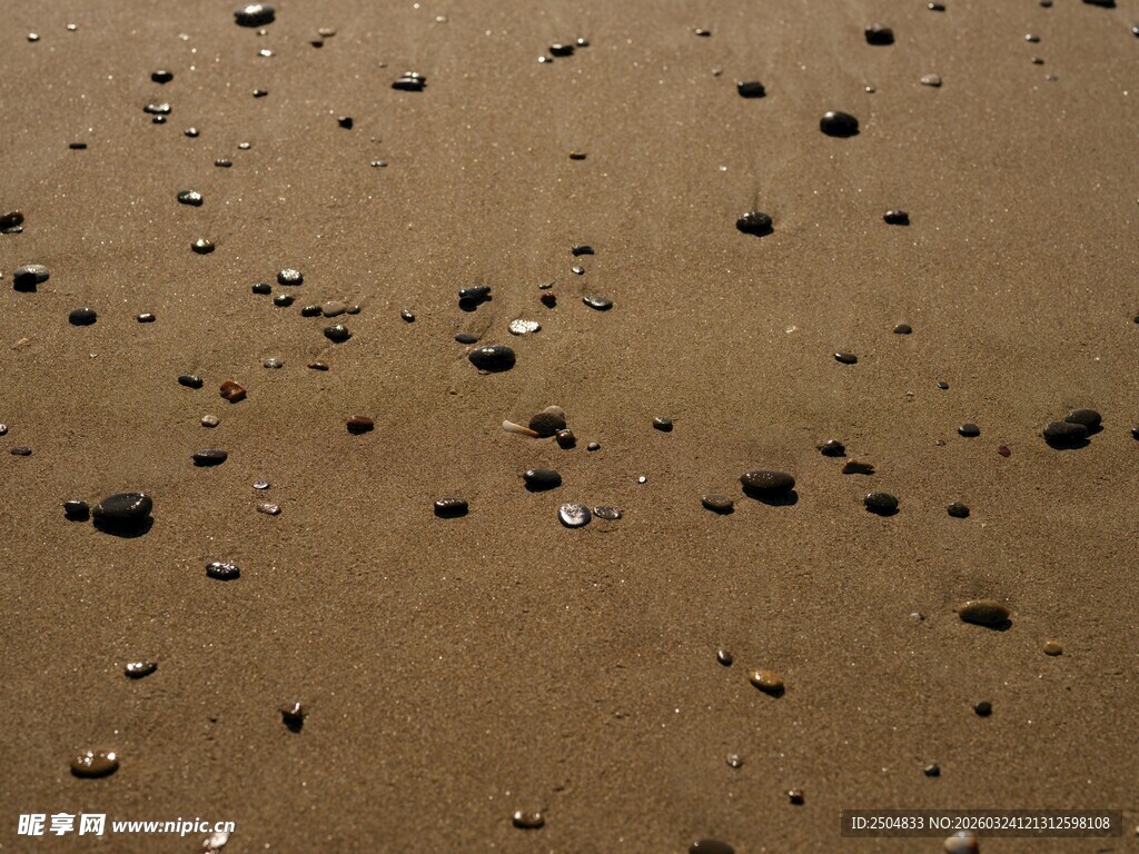 沙滩上的水滴与沙石