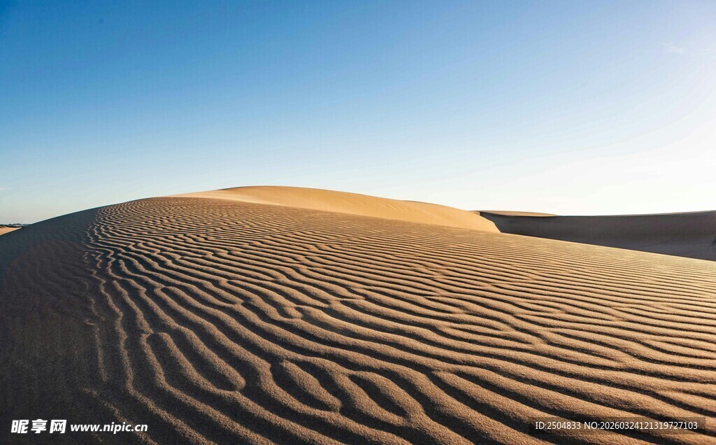 广袤 漠的美丽沙纹景观