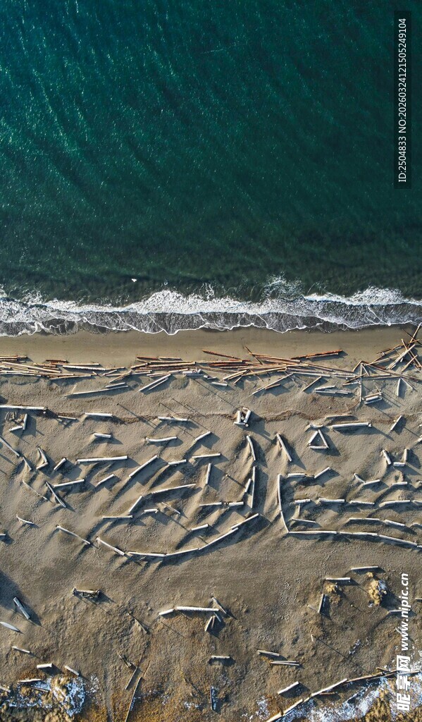 沙滩上的精美海龟图案