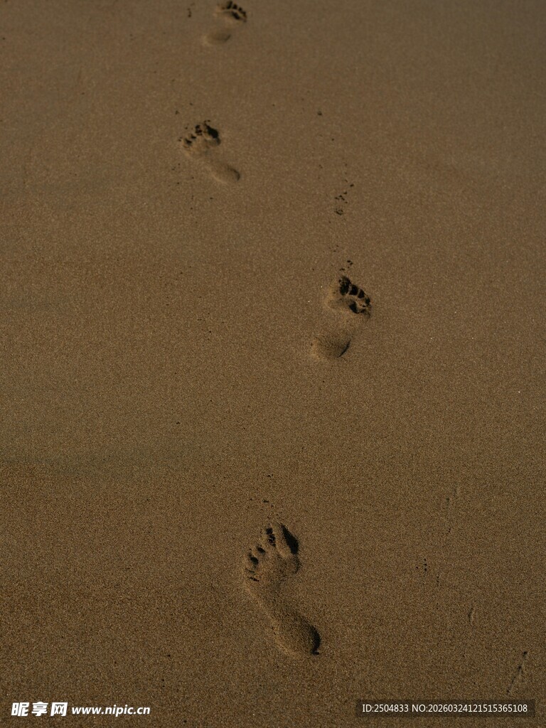 沙滩上的串串脚印