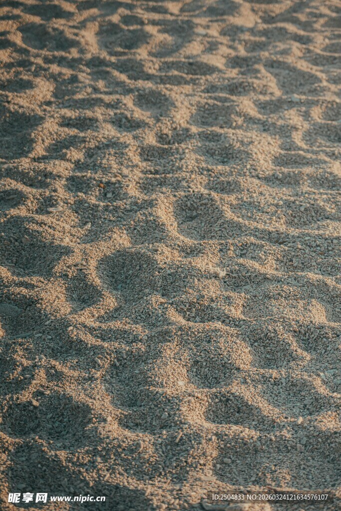 沙滩上的细腻沙纹